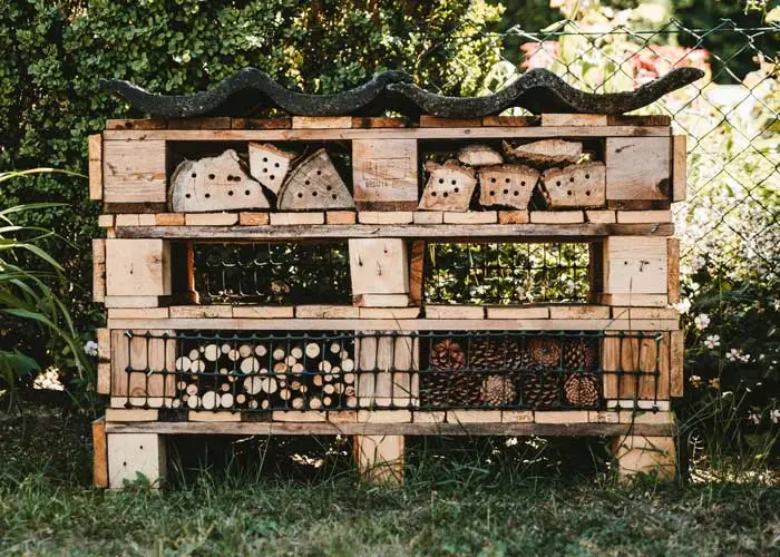 hôtel à insectes auxiliaires