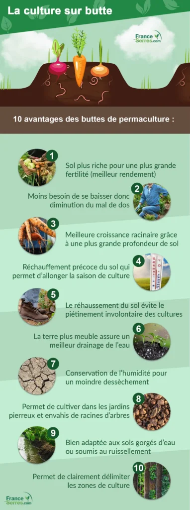 infographie avantages des buttes de culture