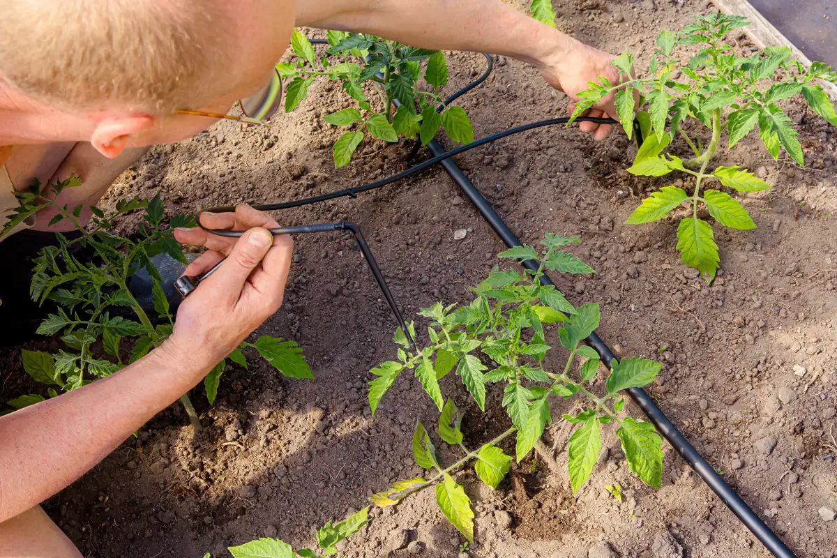 installer goutte-à-goutte sous serre de jardin