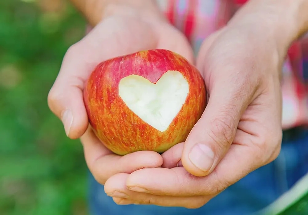 le jardinage bon pour le coeur