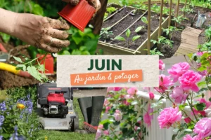Que faire au jardin en juin ?