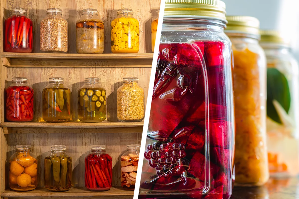 Lactofermentation des légumes : techniques de conservation longue durée pour des surplus de légumes produits sous serre