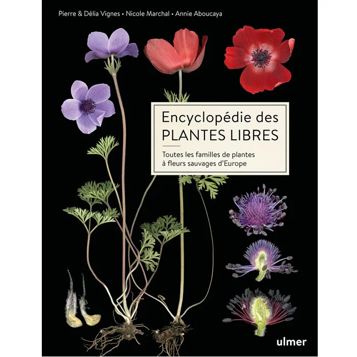 "Encyclopédie des plantes libres - Toutes les familles de plantes à fleurs sauvages d'Europe", de Collectif, Ulmer "Encyclopédie des plantes libres - Toutes les familles de plantes à fleurs sauvages d'Europe", de Collectif, Ulmer