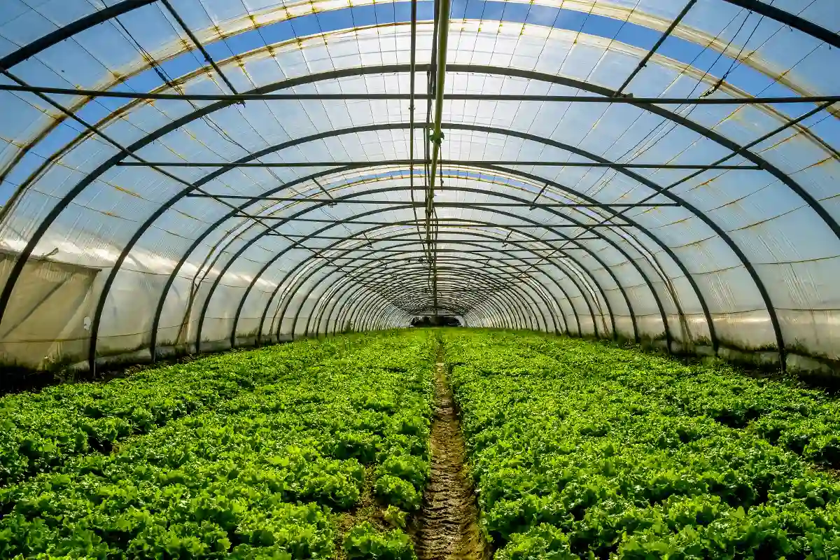 Comment mettre son jardin en lumière ?