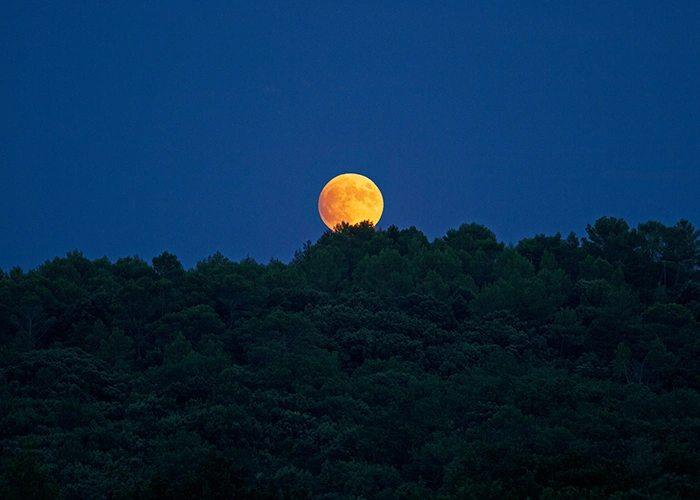 Lune rousse : chute de température et effets sur les cultures
