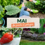 Que faire en mai au jardin et au potager ?