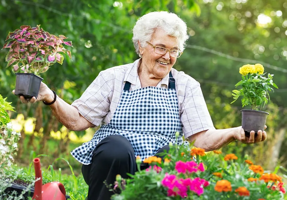 maladies dégénératives et jardinage