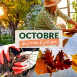Que faire au jardin en octobre ?
