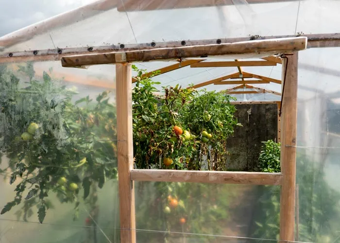 ouverture de serre de jardin en bois