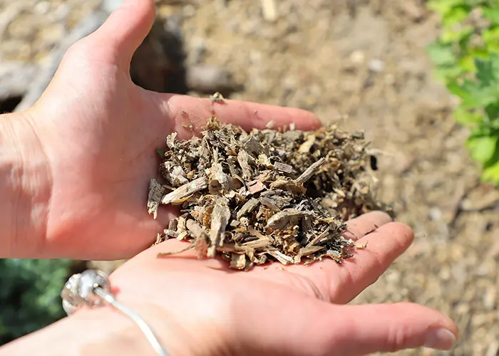 Paillage écologique jardin