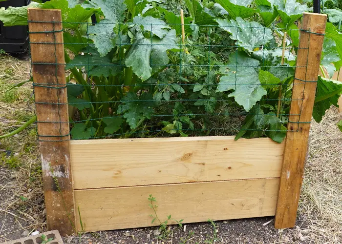 Grillage fixé sur le côté nord d'un carré potager Grillage fixé sur le côté nord d'un carré potager