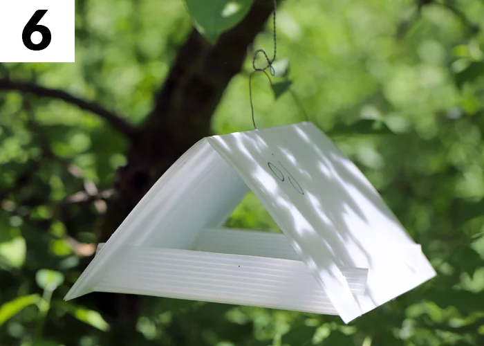 Tâche n°6 en juin au jardin : Installer des pièges à phéromones