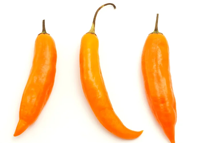 Piment aji Amarillo