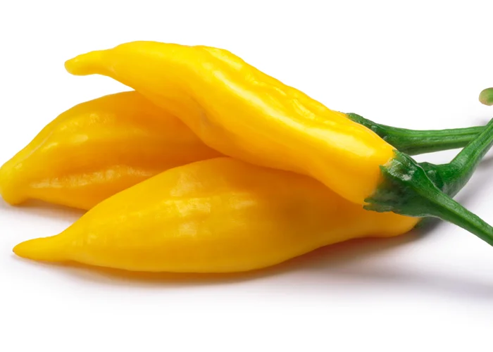 piment hot lemon