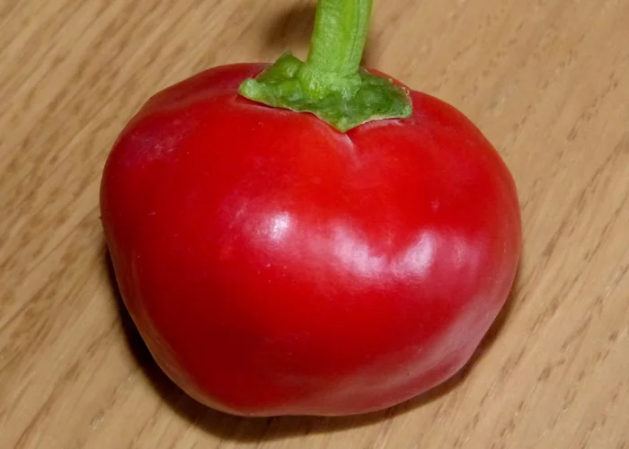 Piment tomate