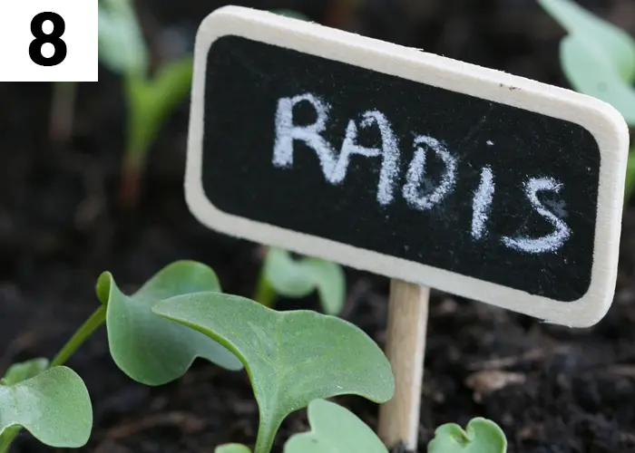 Tâche n°8 janvier au jardin : Planifiez vos futurs espaces de culture