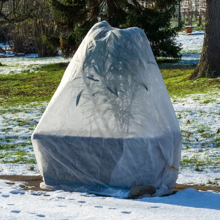 Un solide voile d'hivernage est indispensable par grand froid en janvier Un solide voile d'hivernage est indispensable par grand froid en janvier