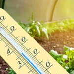 Comment protéger une serre du soleil et des fortes chaleurs&nbsp;?