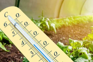 Comment protéger une serre du soleil et des fortes chaleurs ?