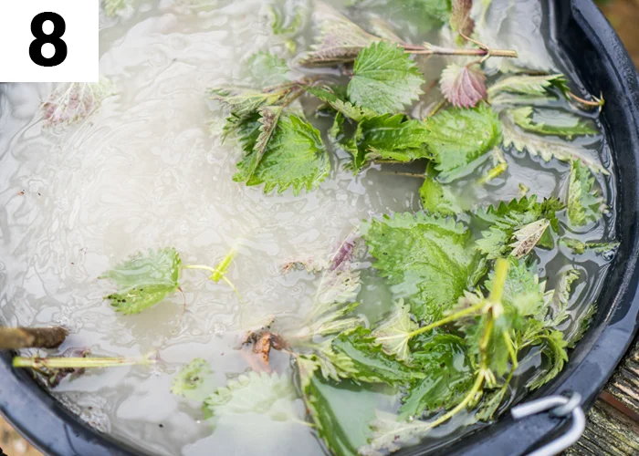 Tâche n°8 en juin au jardin : Faire du purin d'ortie et de consoude