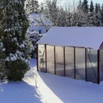 Que faire sous serre en hiver ?