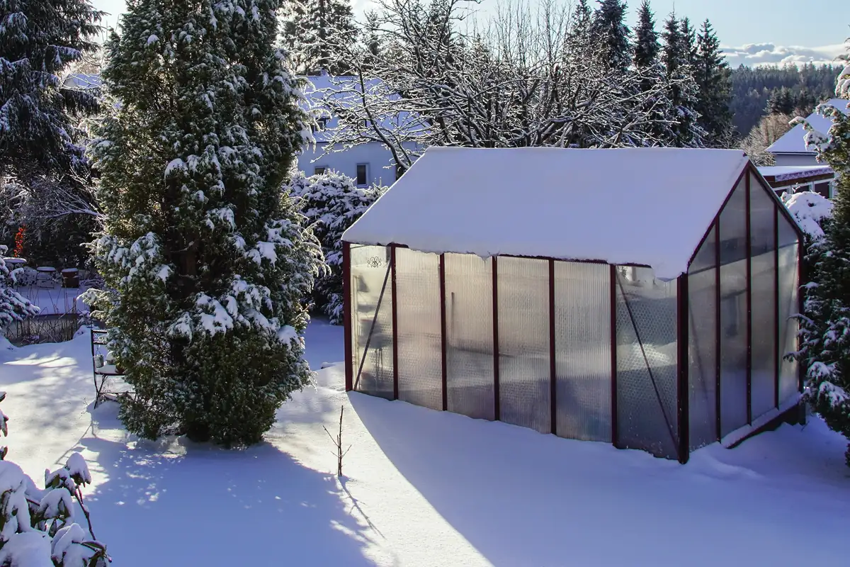 que faire dans serre de jardin hiver