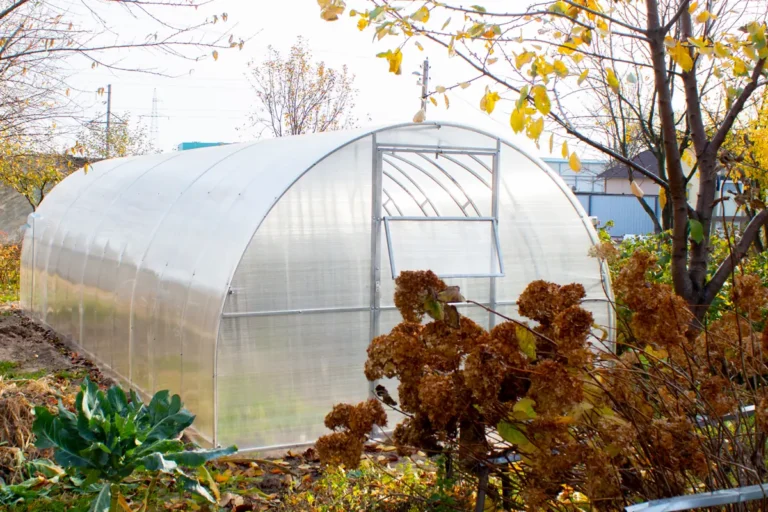 que faire sous serre de jardin eau mois d'octobre