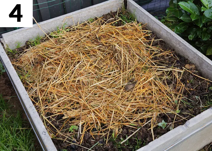 Tâche n°4 janvier au jardin : Réchauffez les futurs lits de semences