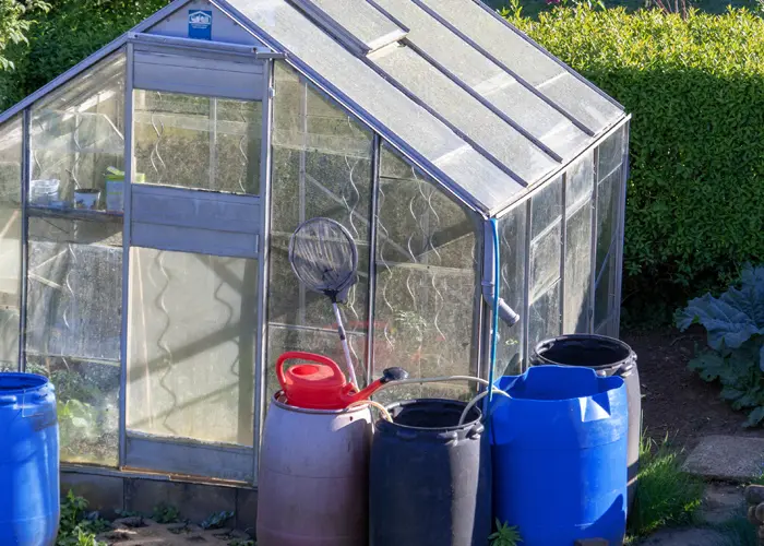 récupérateur d'eau raccordé à une serre de jardin