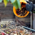 Réussir son compost : comment bien composter ?