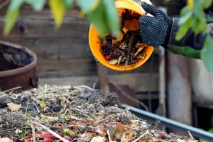 Réussir son compost : comment bien composter ?