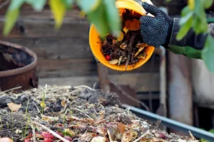 Accélérateur de compost naturel & Bio – Compostage rapide