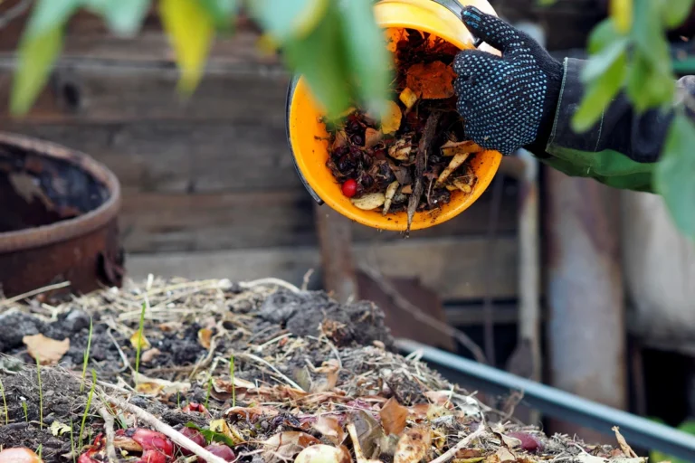 Comment réussir son compost ?