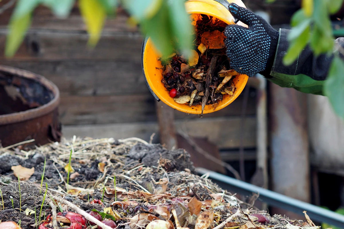 Le Matériel et Les Matériaux nécessaires pour protéger les plantes