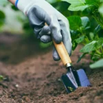 Comment maîtriser la salinité du sol d’une serre ?