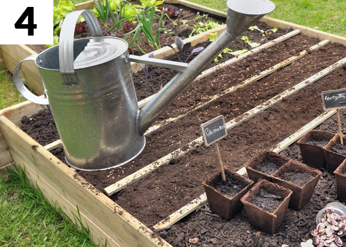 Tâche n°4 en juin au jardin : Semer en pleine terre les légumes tendres