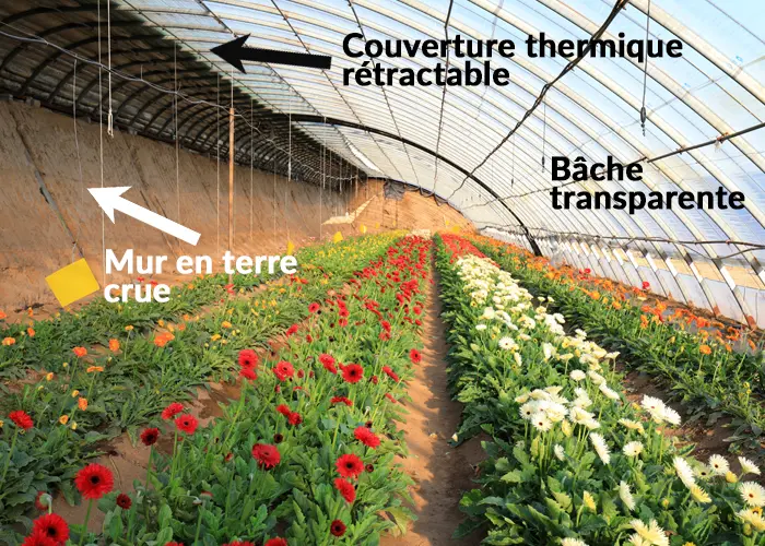 serre bioclimatique chinoise