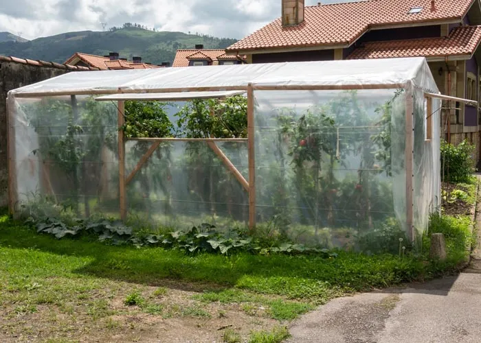 Serre à un pan avec du polycarbonate