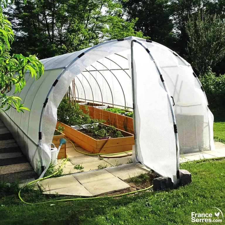 serre pour culture de tomates
