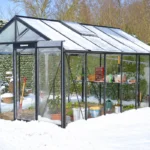 Serre en verre : entretien et nettoyage pour préparer la saison hivernale