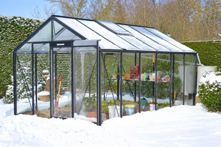 Comment bien préparer et protéger sa serre de jardin pour l'hiver ? - France Serres