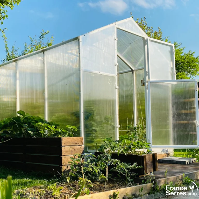 serre en polycarbonate pour la culture de tomates
