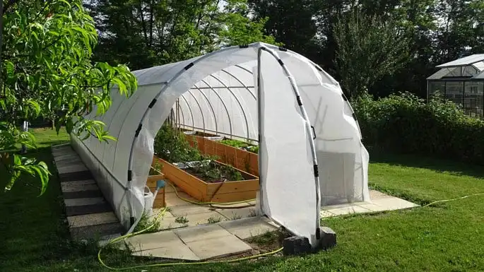 Tunnel pour effet de serre serre de Champignons Champignons croissant -  Chine Effet de serre, une serre de tomates