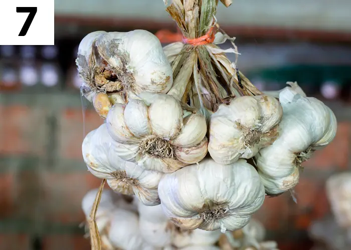 Tâche n°7 janvier au jardin : Vérifier l'état de votre stock de légumes