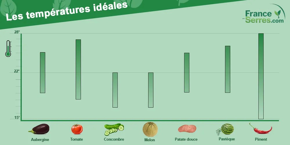 température idéale sous serre en été