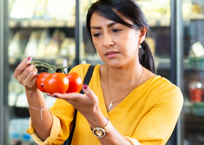 Tomate hydroponiques sans goût