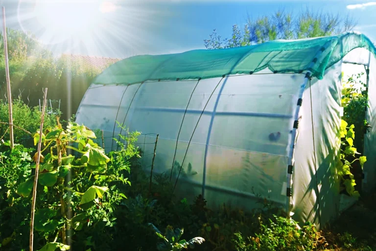 traitement uv des bâches de serre de jardin