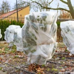 Conseils sur le voile d'hivernage et la protection contre le froid