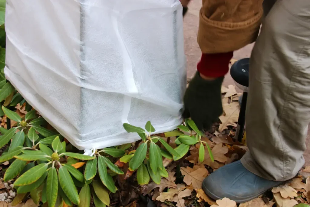 voile d'hivernage sous serre