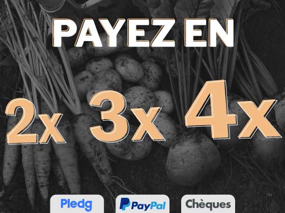 Payez en 2x 3x 4x sans frais